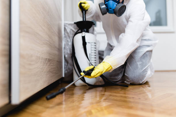 Best Pest Inspection Near Me  in Chester, VA