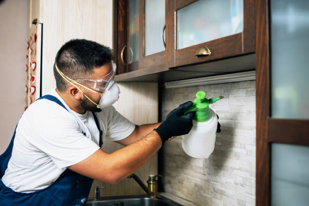Trusted Chester, VA Pest Control Experts