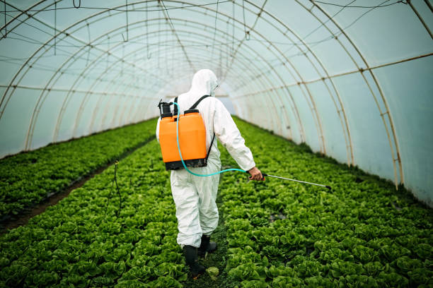 Best Mosquito Control Services  in Chester, VA