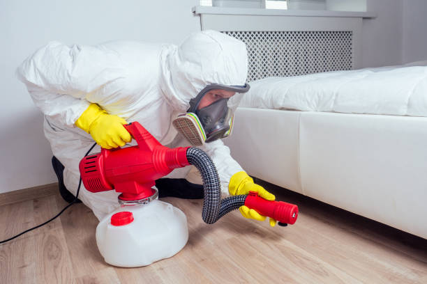 Best Wasp Removal Services  in Chester, VA