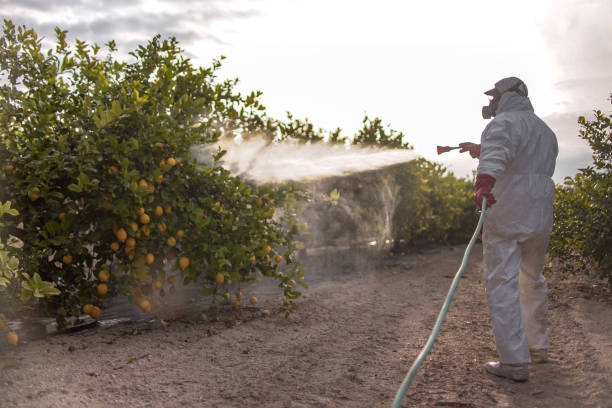 Best Pest Control Near Me in Chester, VA