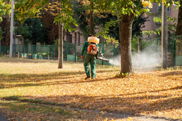 Best Wasp Removal Services  in Chester, VA