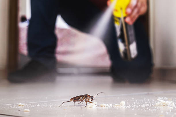 Best Commercial Pest Control Services  in Chester, VA