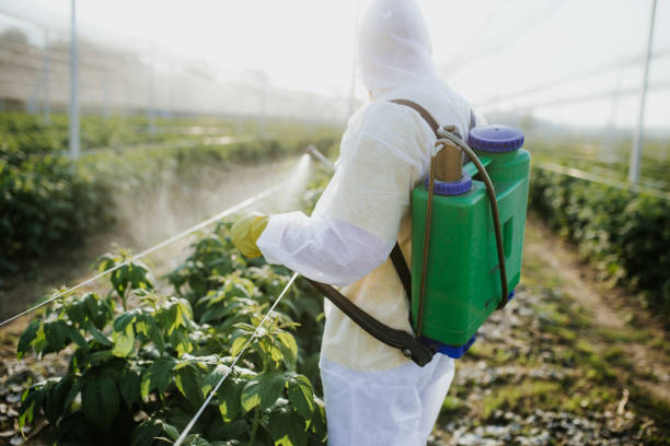 Best Cockroach Control Services  in Chester, VA